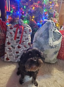 Santa Sack Gift Bag - Sugar.jpg